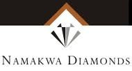 Жена экс-секретаря СНБО и экс-совладельца ИСД купила более 10% акций компании по добыче алмазов в Африке