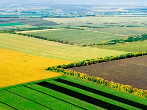Украинский стартап в области инноваций для агросектора привлек $150 тыс. инвестиций