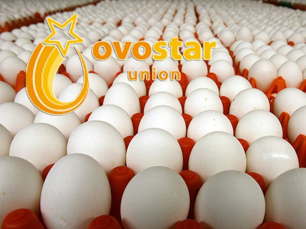 Крупный производитель яиц "Овостар" расширяет производство