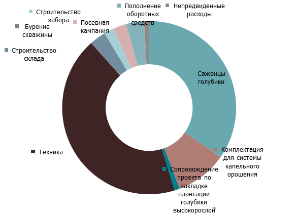 Инвестиционная привлекательность выращивания голубики в Украине