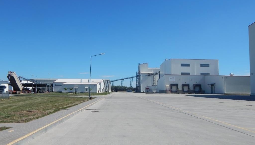 Стасі Насіння