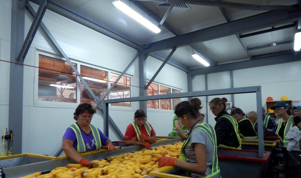 Стаси-семена-цех